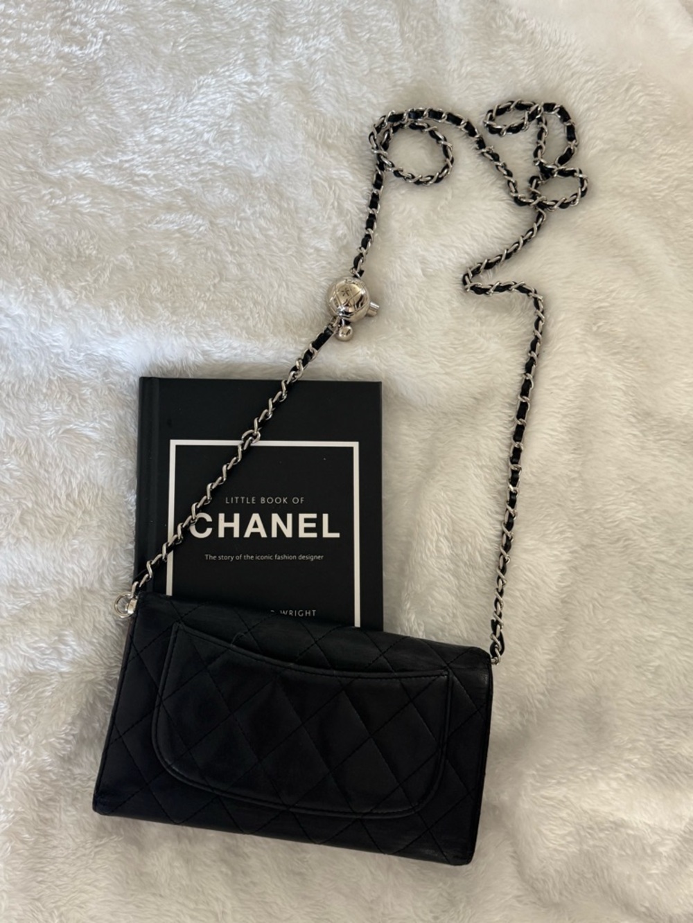 CHANEL Black Quilted Leather Chain Wallet Shoulder Bag with Silver Hardware - Picture 11 of 14